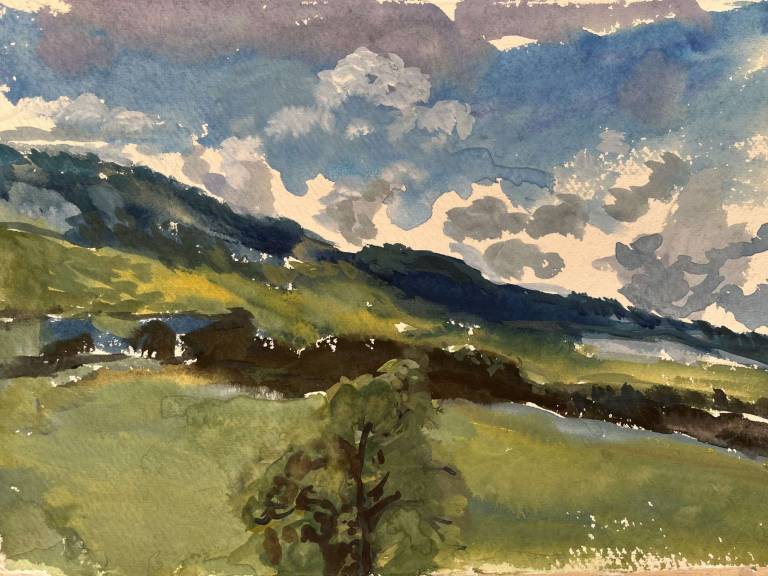 Shropshire Meadow - Sally
