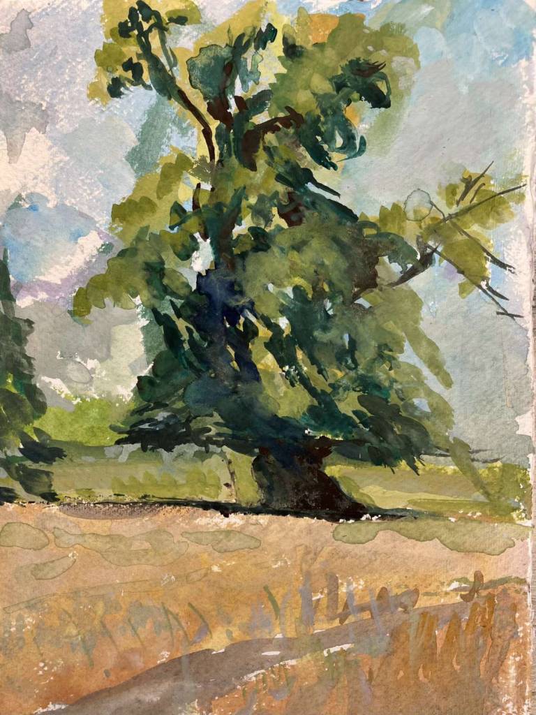 Chestnut Tree in the Sunshine. Unframed. - Sally