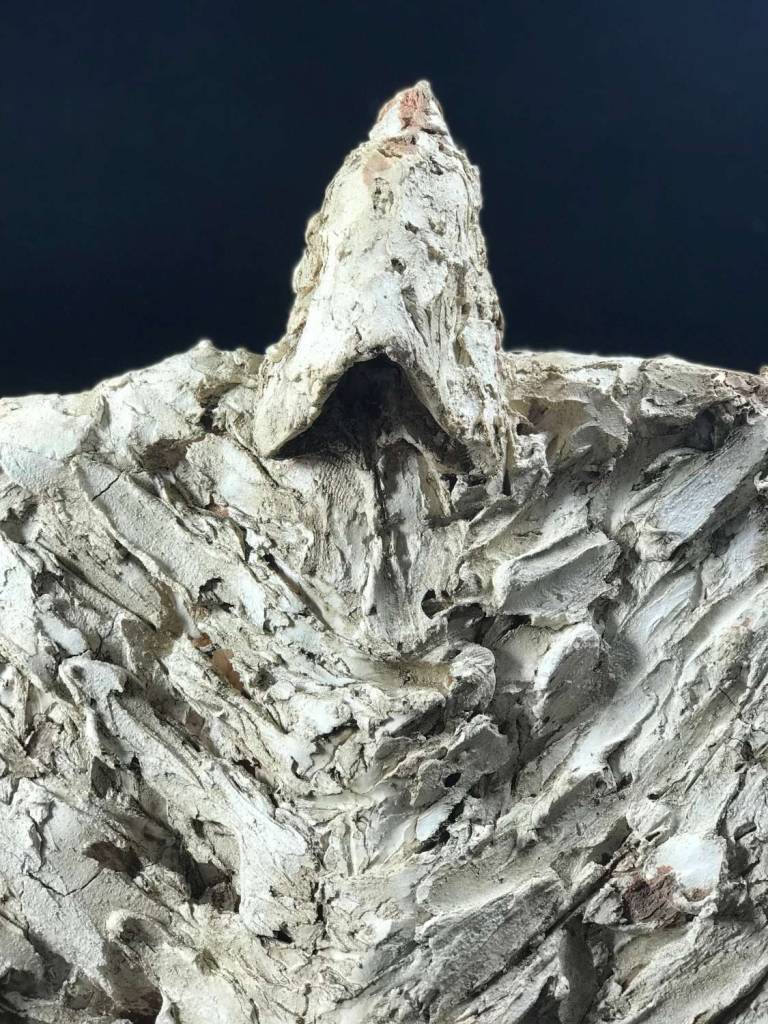Sculpture of the Week !!!! - Bone Collector - 