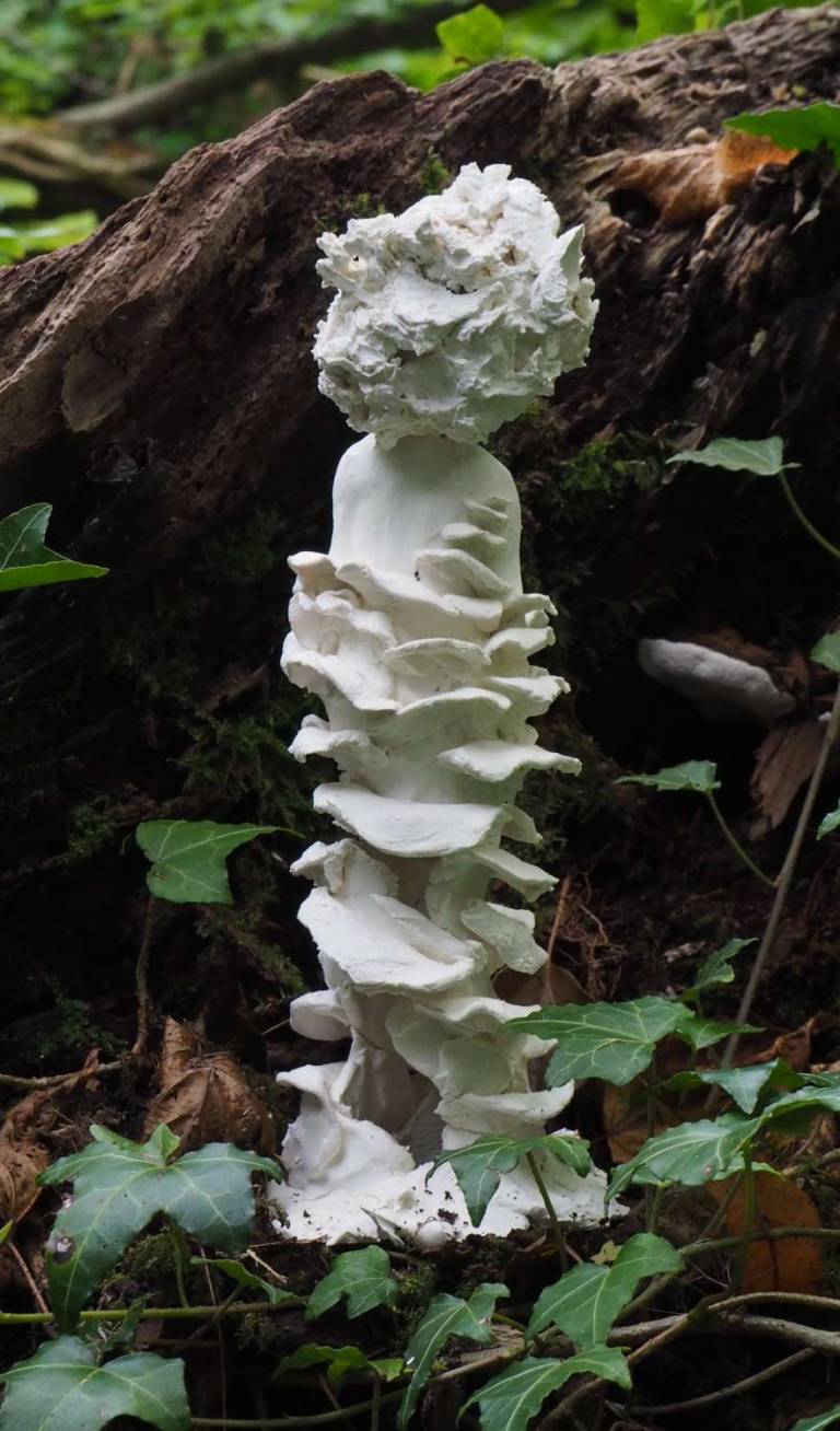 Sculpture of the Week !! Children of Nature 1 - 