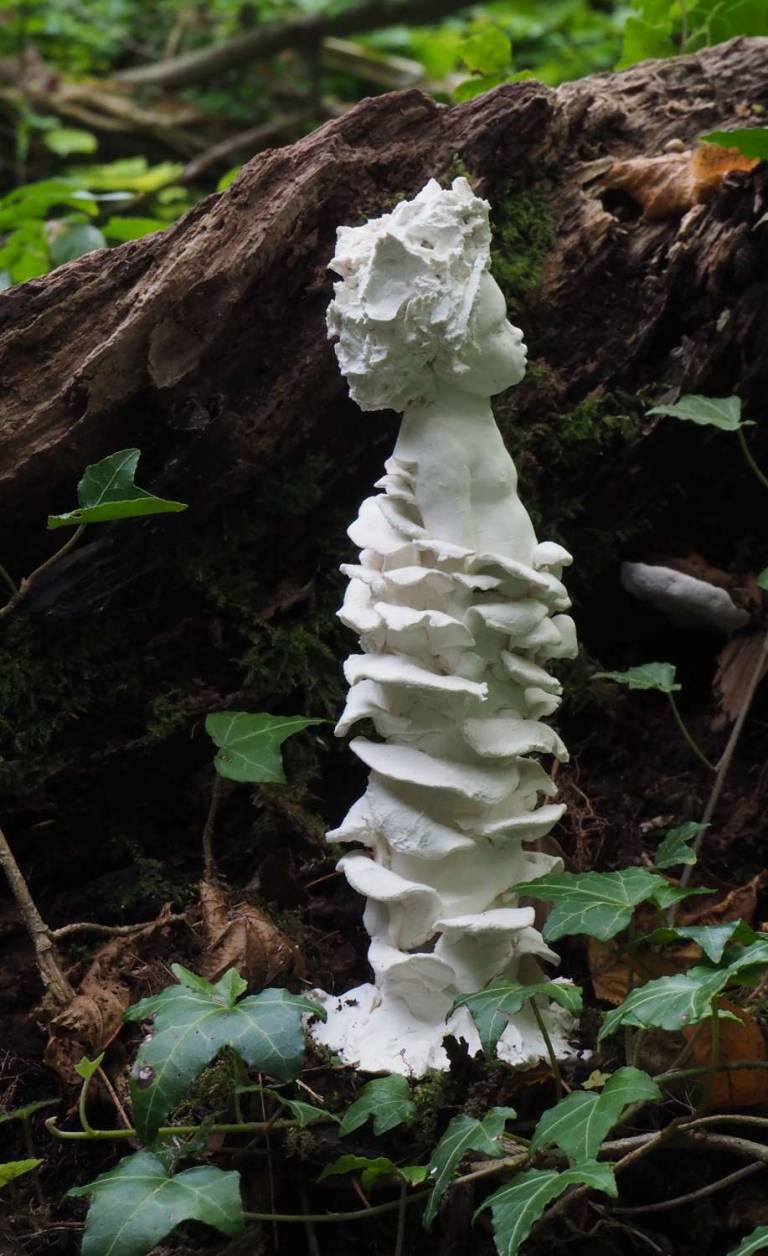 Sculpture of the Week !! Children of Nature 1 - 