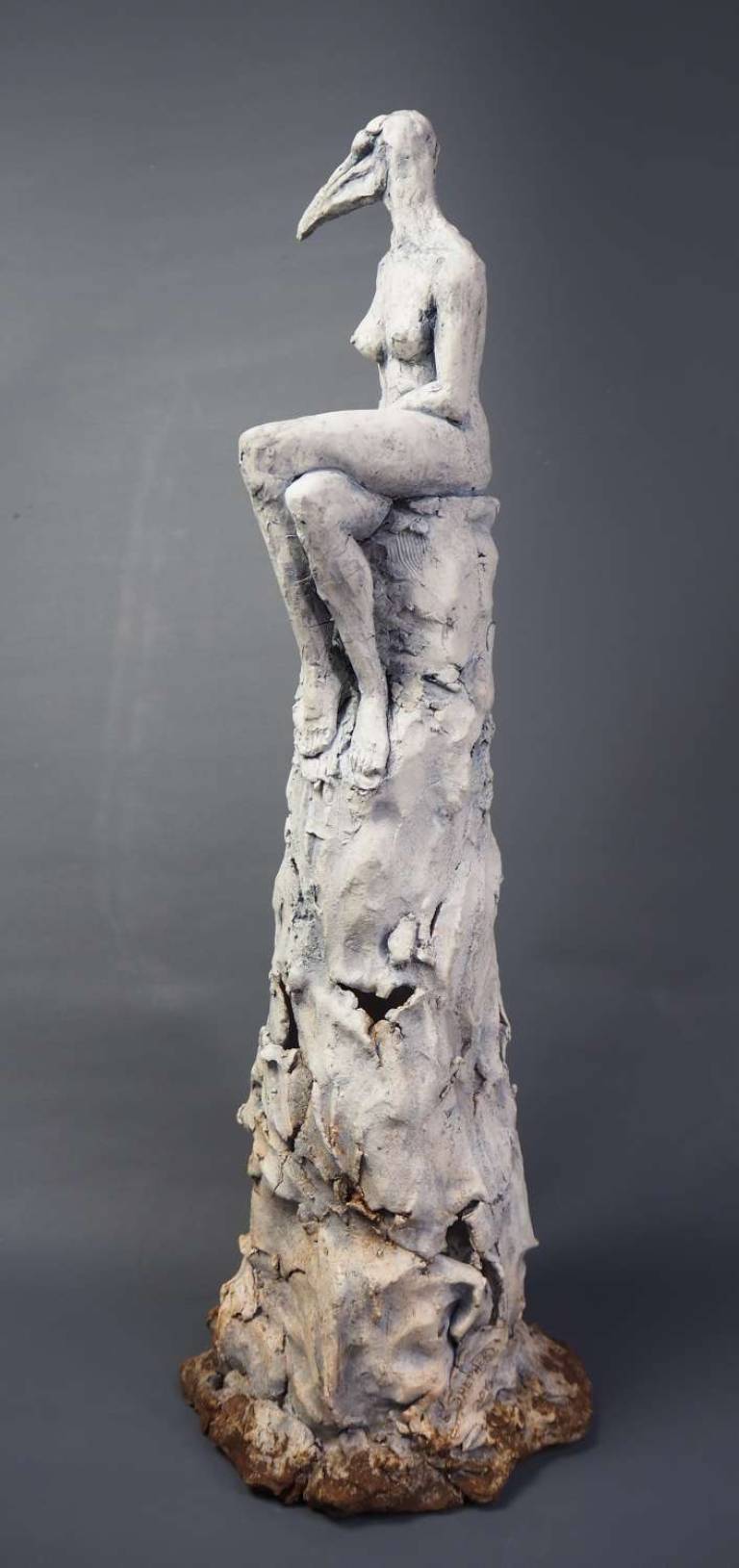 Bird Watcher - Eve Shepherd