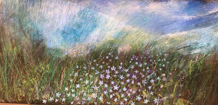 Irish wildflower in meadow 2021 - Karen  Eames