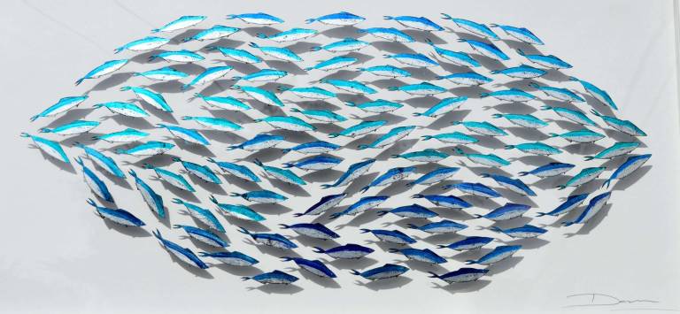 Large Shoal of Sardines - Danni Bradford