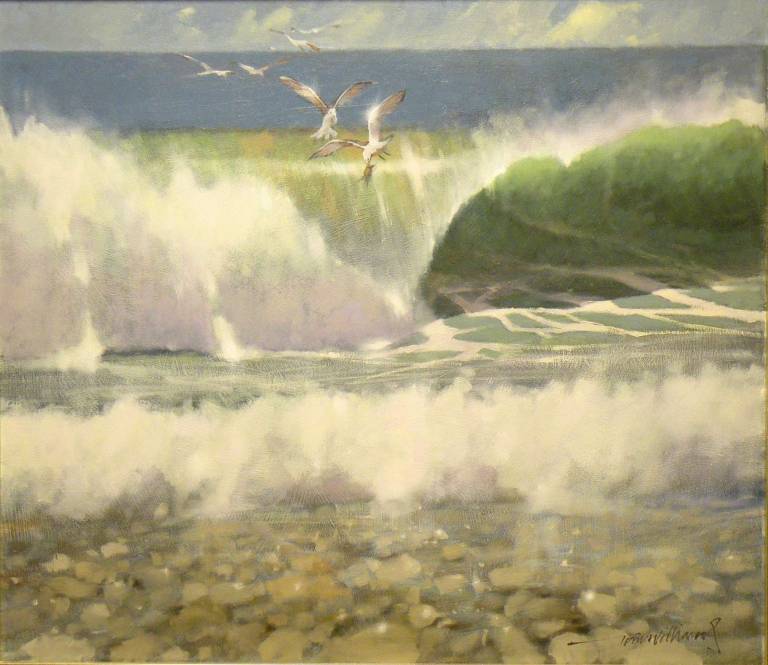 Tony Williams - The Wave Gulls