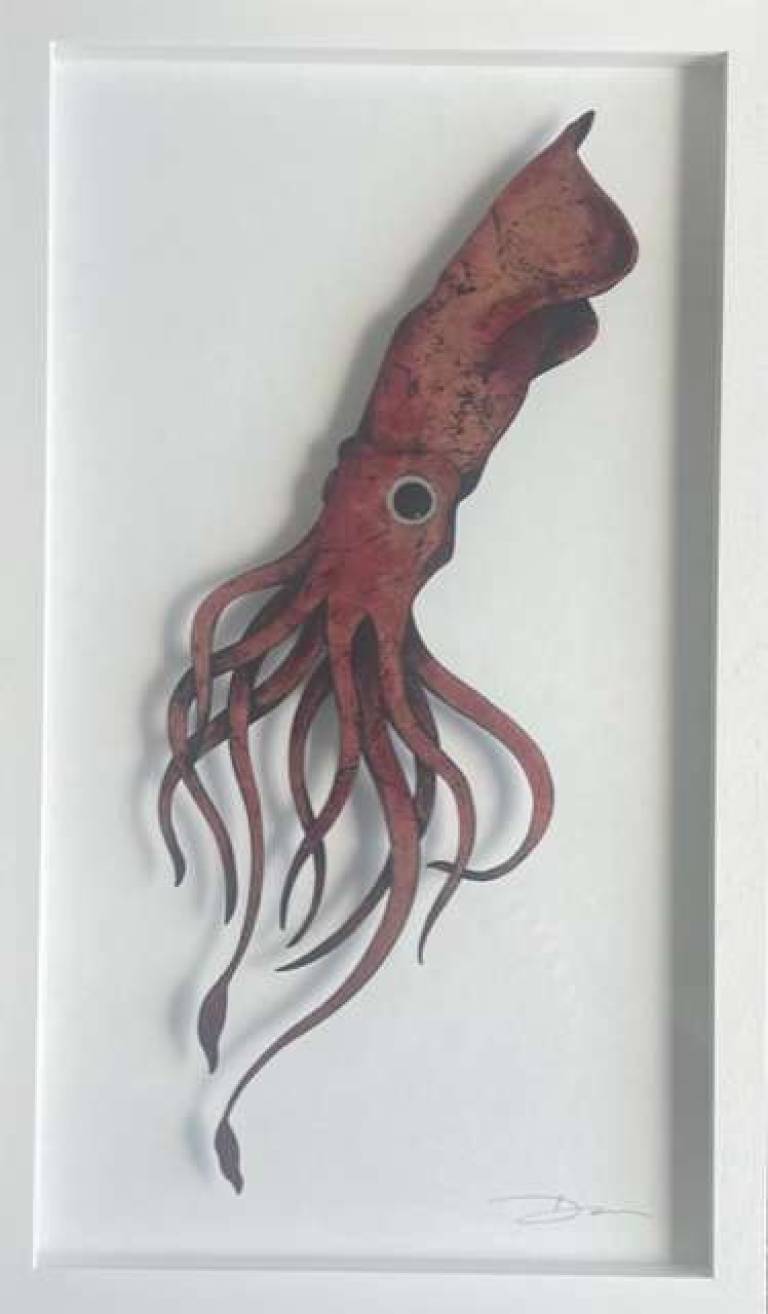 Squid - Danni Bradford