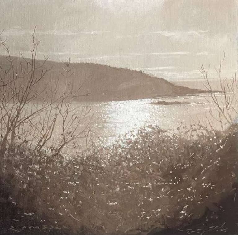 Greg Ramsden ARSMA - Salcombe Light