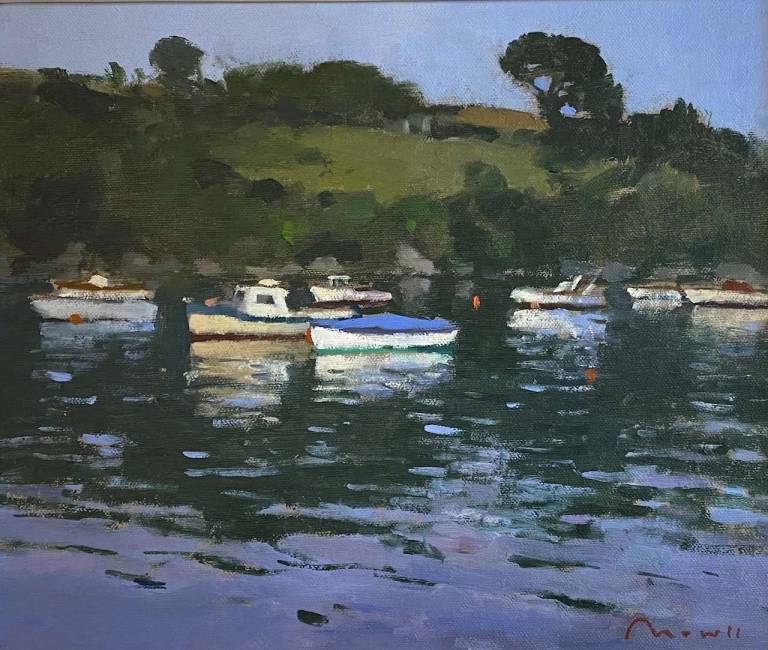 Ben Mowll ROI PPRSMA - Evening Reflections.