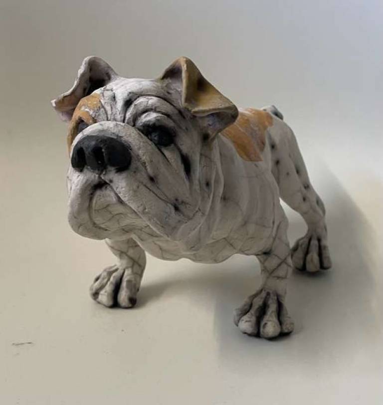 Bulldog - Cummings Studio