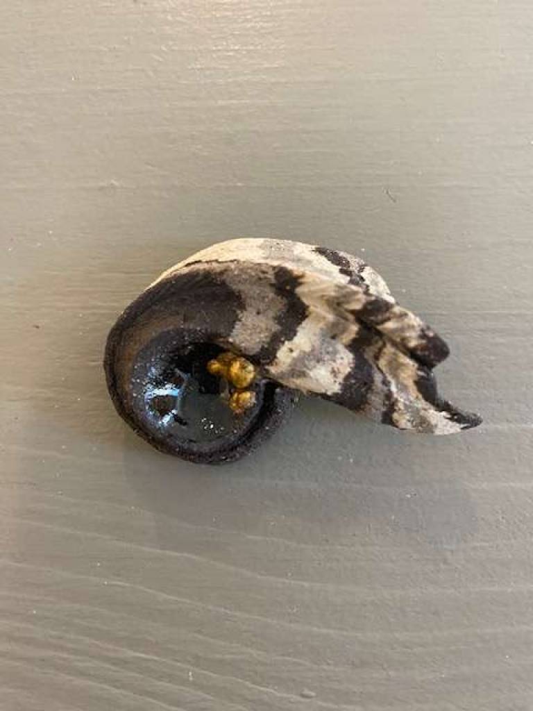 Brooch - Hanna Salomonsson