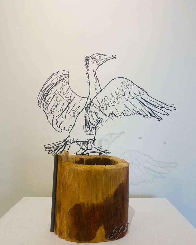 Ben Baker - Cormorant on Plinth