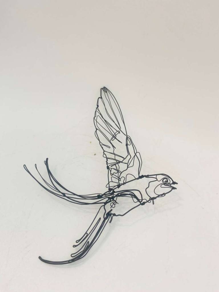 Ben Baker - Swallows L - M - S