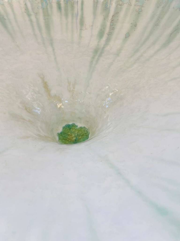 Large Bowl - Hilary La Force