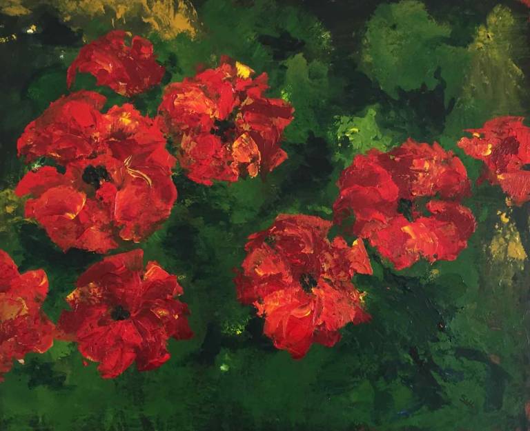 Red Poppies - Sue  Hillman
