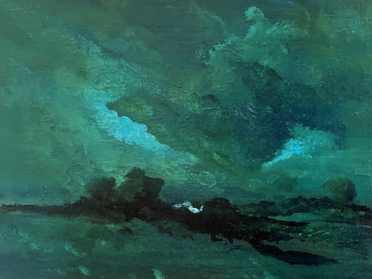 Northern Light - Sue  Hillman