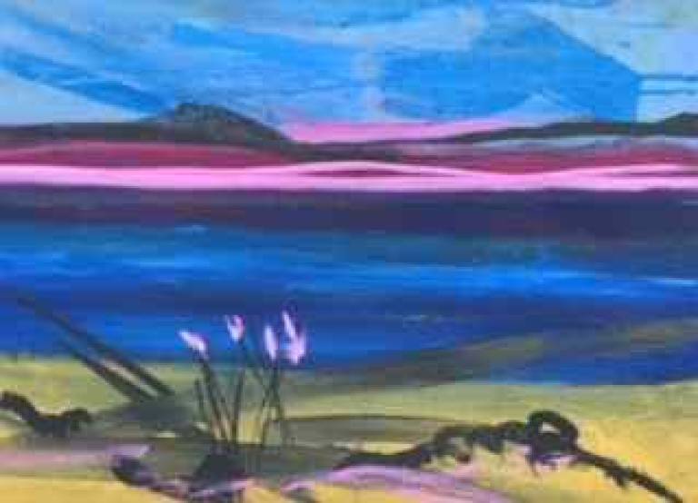 Towards Taynish - Sue  Hillman