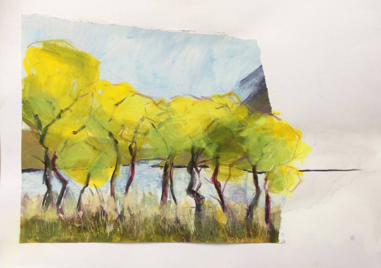 By The Lake - Jill Colchester
