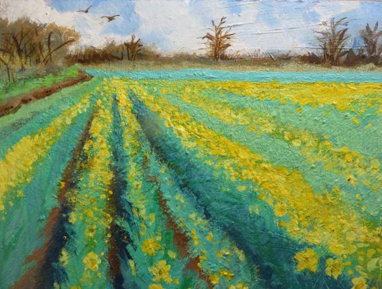 A Field of Daffodils in the Sun. - Sally Bassett