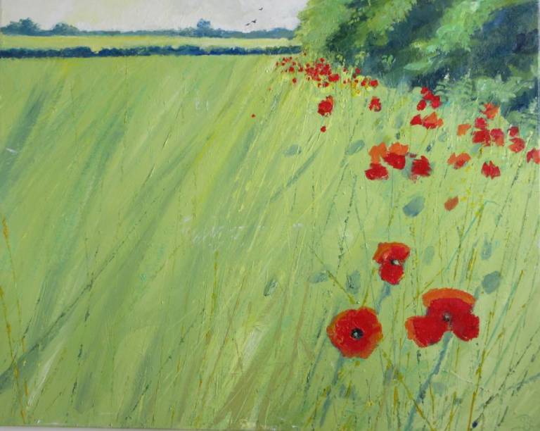 A Hedge Edge of Poppies - Sally Bassett