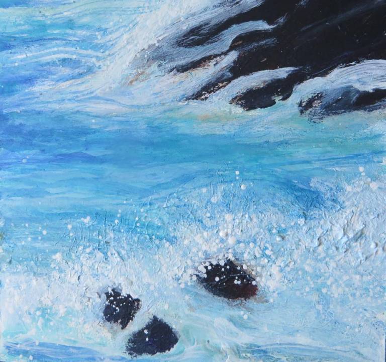 Bright Waves, Dark Rocks - Sally Bassett