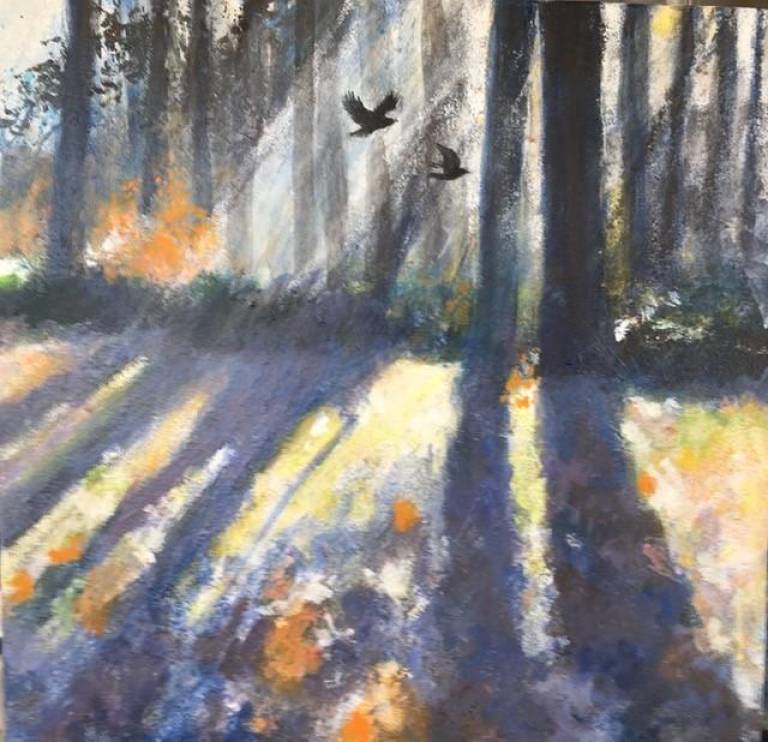 Early Morning Sun, Long Shadows, Rook Fly Past. - Sally Bassett
