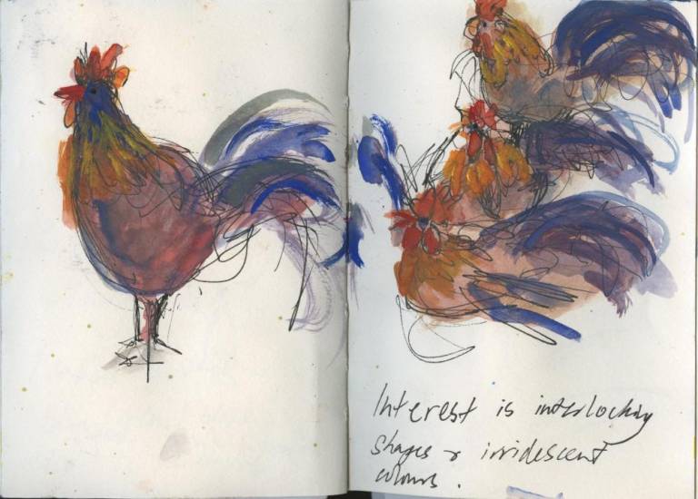 Landscape sketch book.  Cockerel and Hens. - Sally Bassett