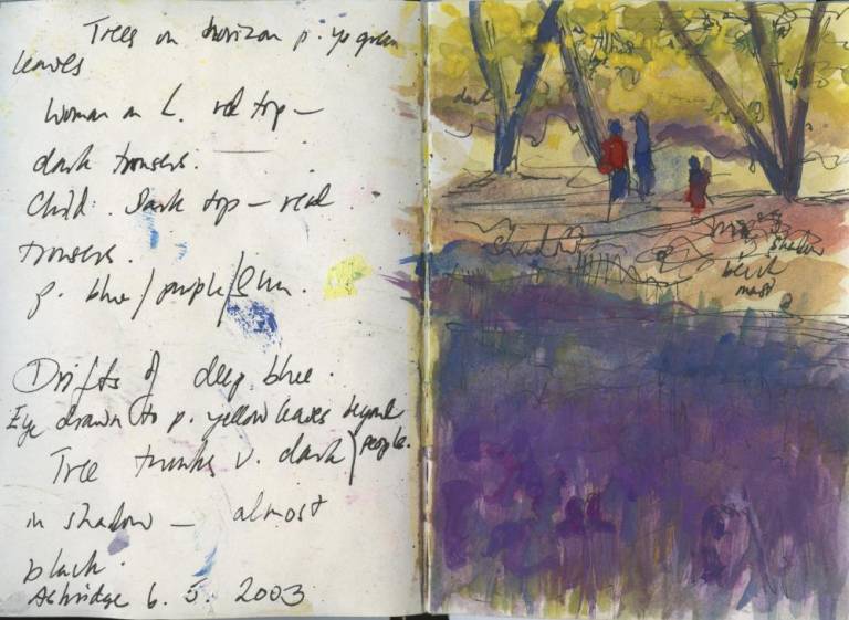 Landscape sketch book. Bluebells - Sally Bassett