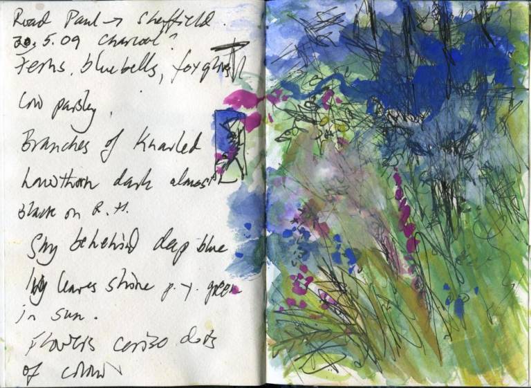 Landscape sketch book.Foxgloves, bluebells and cow parsley in a hedge. - Sally Bassett