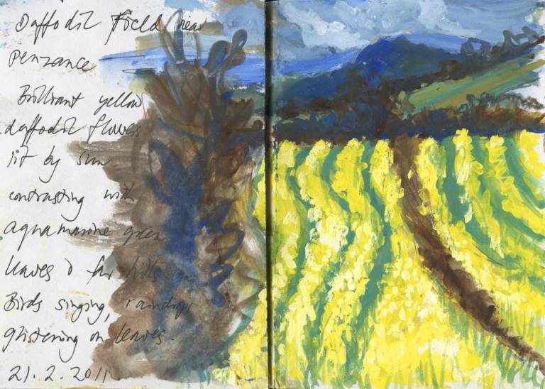 Landscape sketchbook.Spring Daffodils in the Field - Sally Bassett