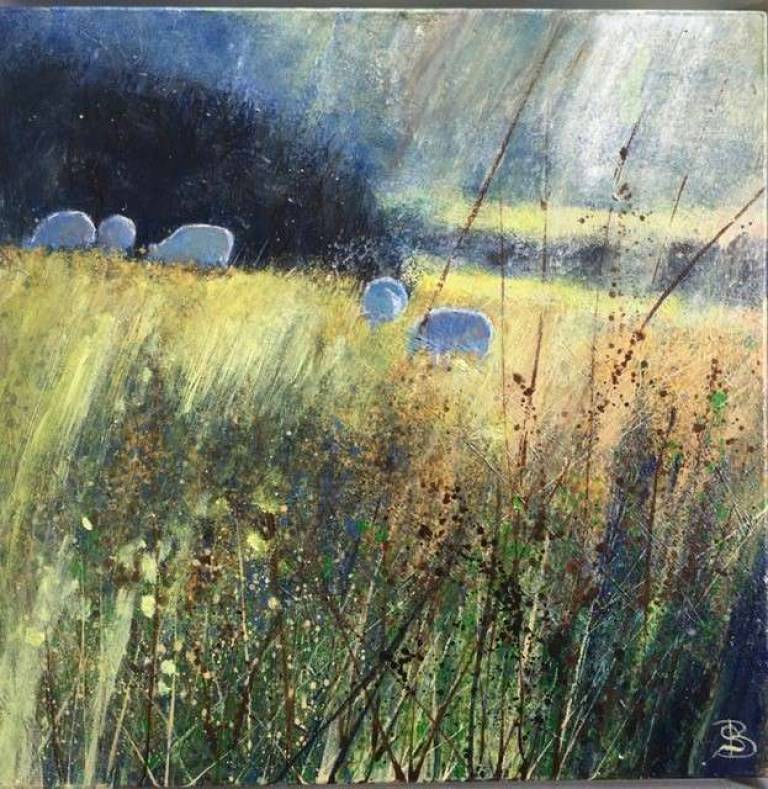 Hazy Sunshine, Sheep Grazing. - Sally Bassett