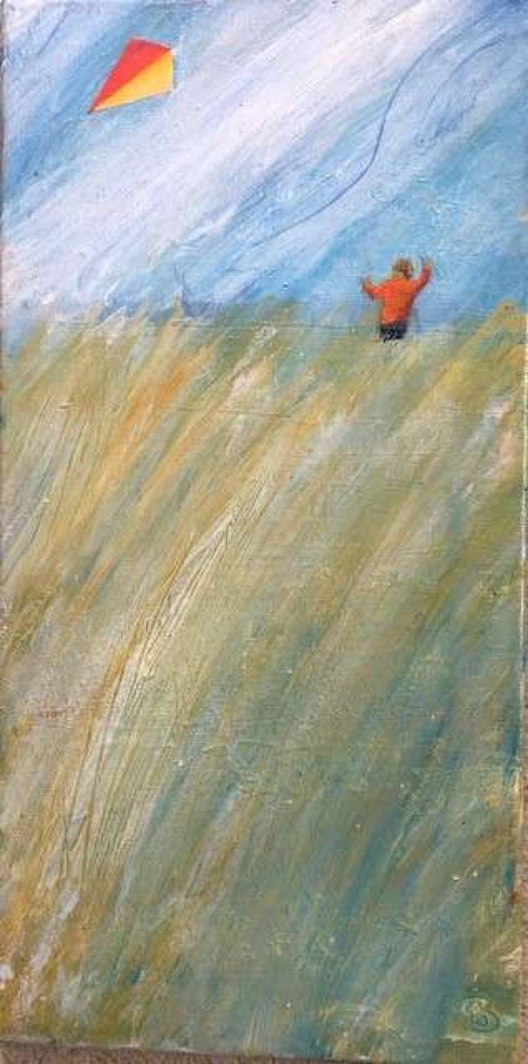 The Boy with the Red and Yellow Kite - Sally Bassett
