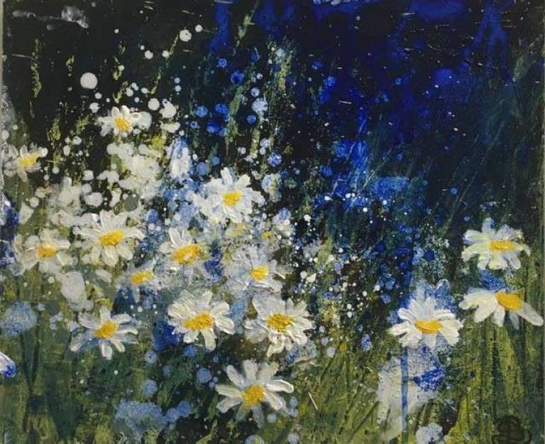 Sun Edged Daisies, Midsummer Meadow - Sally Bassett