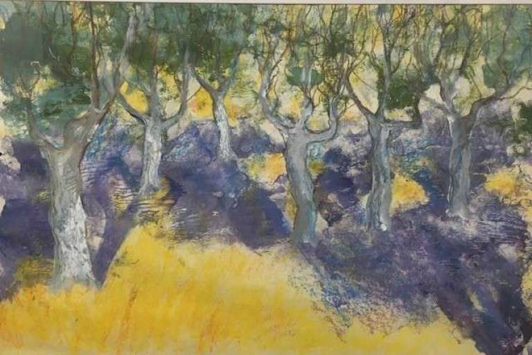 Sun and Shade in the Olive Grove - Sally Bassett