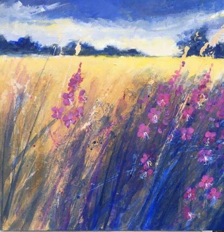 Setting Sun Glory, Flowers Pink Edged - Sally Bassett