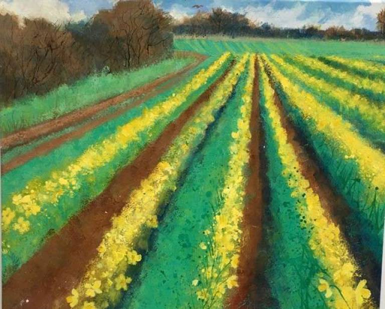Daffodil Walk - Sally Bassett