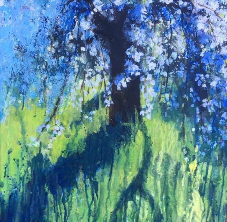 The Weeping Cherry Blossom Tree. - Sally Bassett