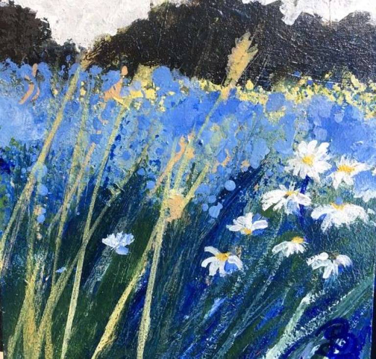 Evening Sunshine, Daisy Delight. - Sally Bassett