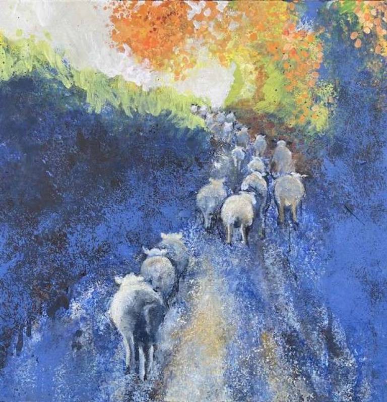 Sheep Rush - Sally Bassett