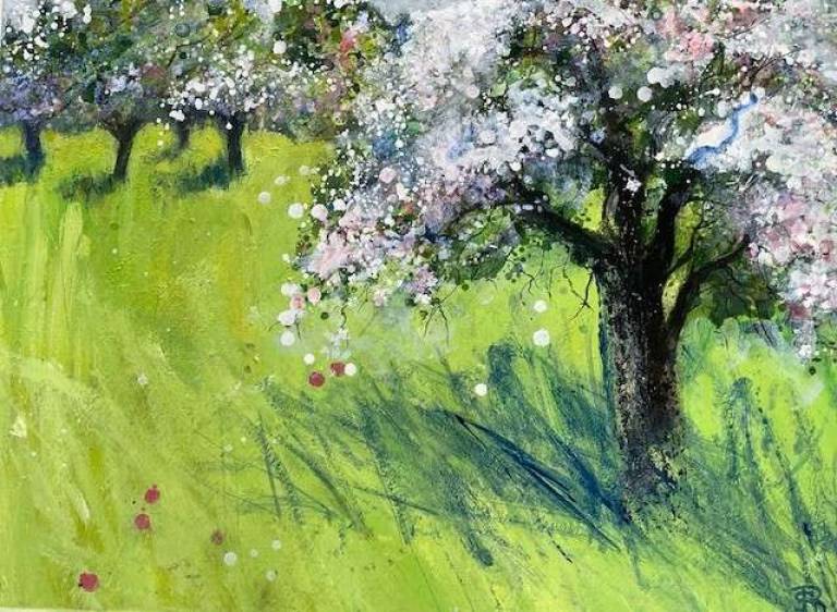 Apple Blossom in a Wild Orchard - Sally Bassett