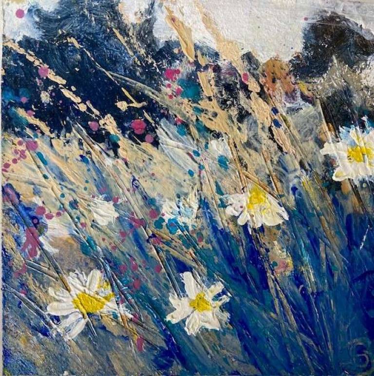 Sun Edged Daisies, Evening Light. - Sally Bassett