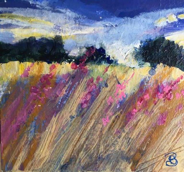 Sun Edged Willow Herb at Sunset - Sally Bassett
