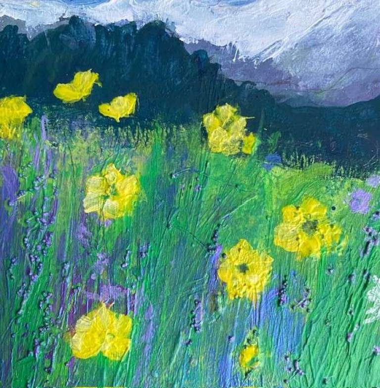 Spring Meadow Abundance - Sally Bassett