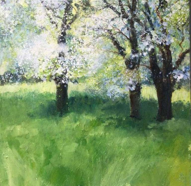 Cherry Blossom - Sally Bassett