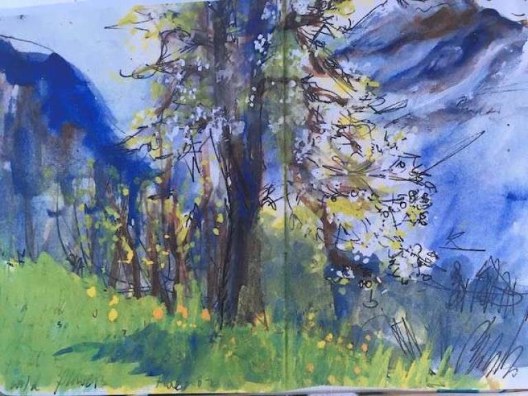 Pear Tree Sketch - Sally Bassett