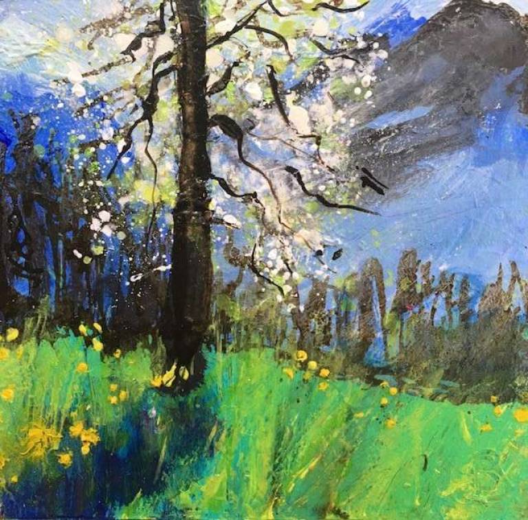 Pear Tree Blossom Wow - Sally Bassett