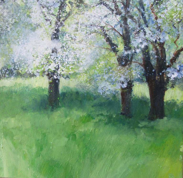 Cherry Blossom - Sally Bassett