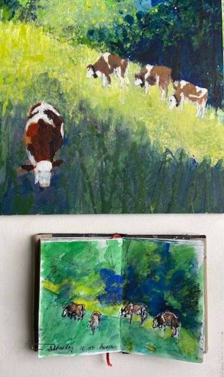 Cows. Sketch book and painting - Sally Bassett