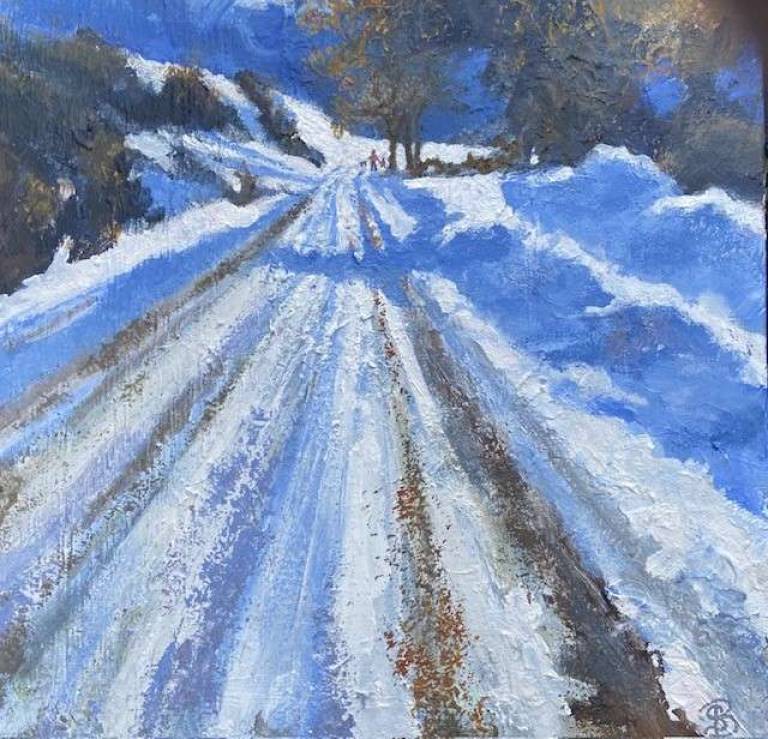 Out for a Walk in the Snow and the Ice - Sally Bassett