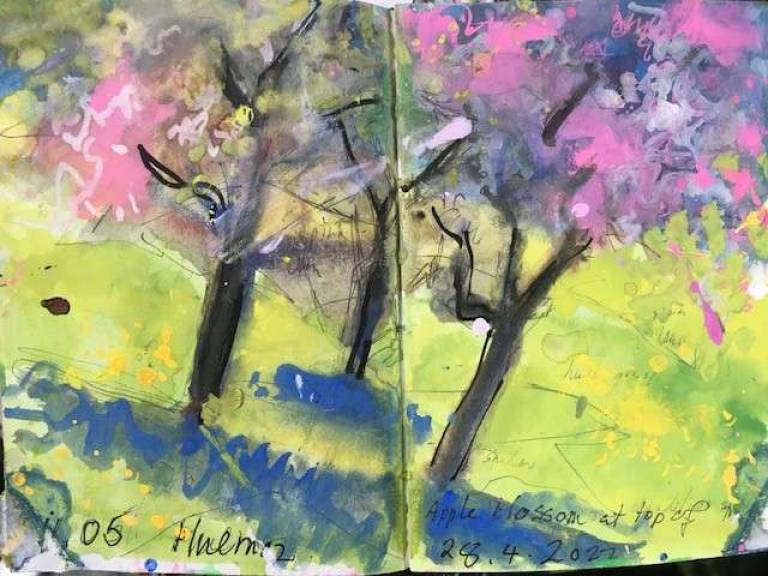 Apple Blossom .Sketch - Sally Bassett