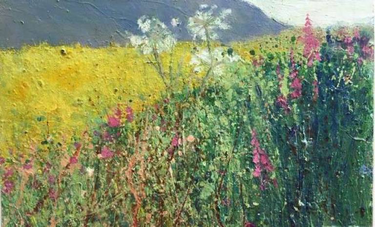 A Riot of Pink Flowers by the Buttercup Meadow - Sally Bassett